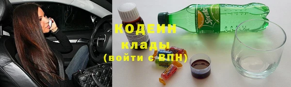 ешки Вяземский