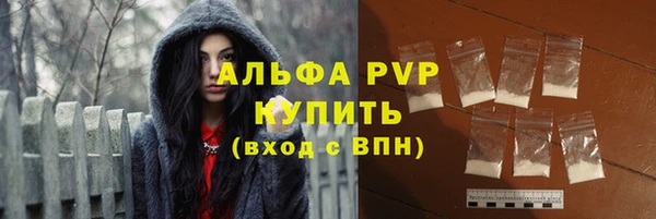 ешки Вяземский