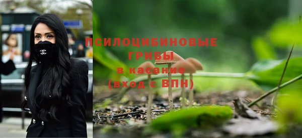 дживик Горно-Алтайск