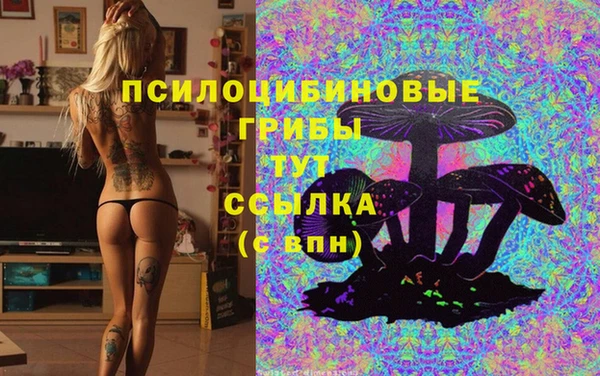 mix Вязьма