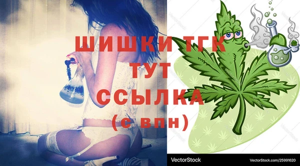 ешки Вяземский