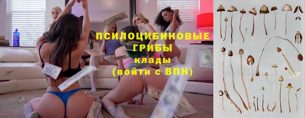ешки Вяземский
